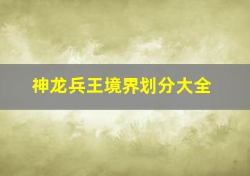 神龙兵王境界划分大全