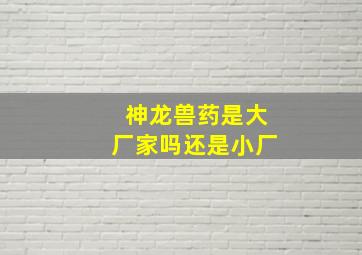 神龙兽药是大厂家吗还是小厂