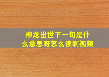 神龙出世下一句是什么意思呀怎么读啊视频