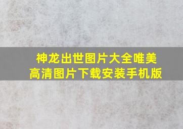 神龙出世图片大全唯美高清图片下载安装手机版