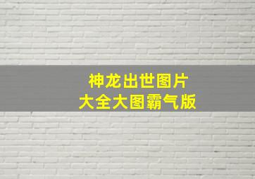 神龙出世图片大全大图霸气版