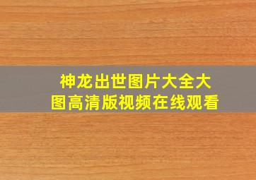 神龙出世图片大全大图高清版视频在线观看