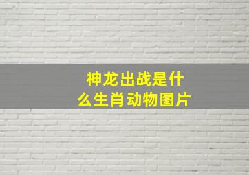 神龙出战是什么生肖动物图片