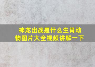 神龙出战是什么生肖动物图片大全视频讲解一下