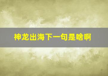 神龙出海下一句是啥啊