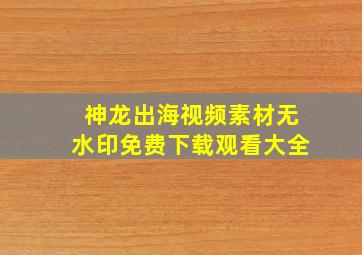 神龙出海视频素材无水印免费下载观看大全