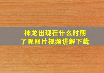 神龙出现在什么时期了呢图片视频讲解下载