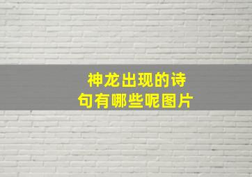 神龙出现的诗句有哪些呢图片