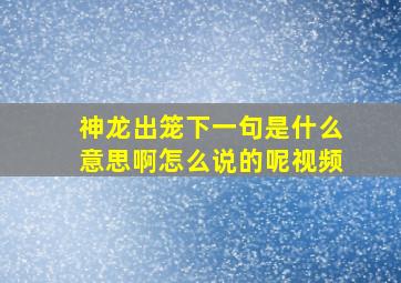 神龙出笼下一句是什么意思啊怎么说的呢视频