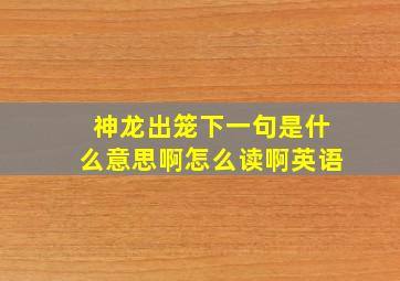 神龙出笼下一句是什么意思啊怎么读啊英语