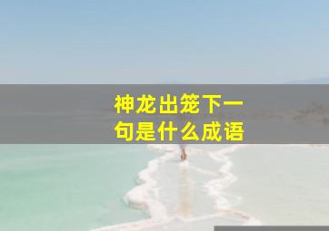 神龙出笼下一句是什么成语