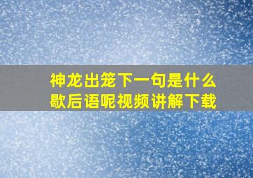 神龙出笼下一句是什么歇后语呢视频讲解下载