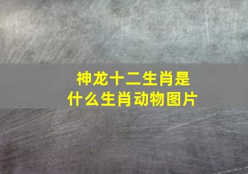 神龙十二生肖是什么生肖动物图片