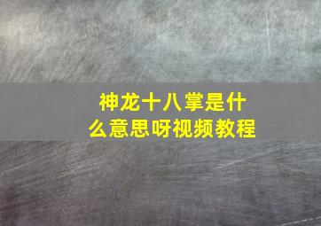 神龙十八掌是什么意思呀视频教程