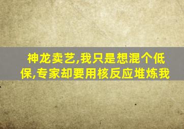 神龙卖艺,我只是想混个低保,专家却要用核反应堆炼我