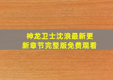 神龙卫士沈浪最新更新章节完整版免费观看