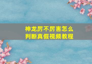 神龙厉不厉害怎么判断真假视频教程