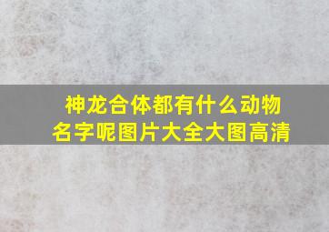 神龙合体都有什么动物名字呢图片大全大图高清