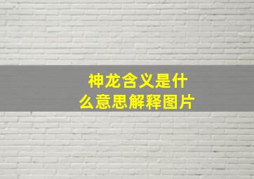 神龙含义是什么意思解释图片