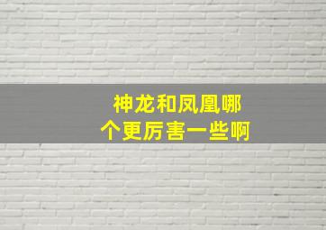 神龙和凤凰哪个更厉害一些啊