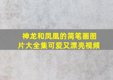 神龙和凤凰的简笔画图片大全集可爱又漂亮视频