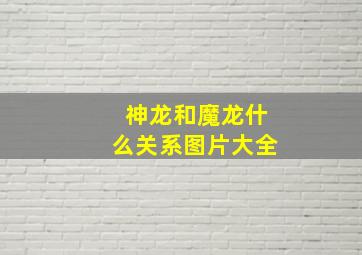 神龙和魔龙什么关系图片大全