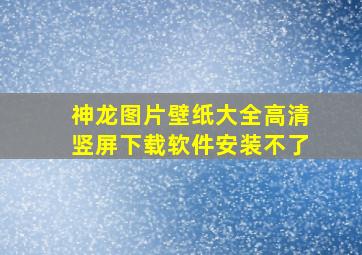 神龙图片壁纸大全高清竖屏下载软件安装不了