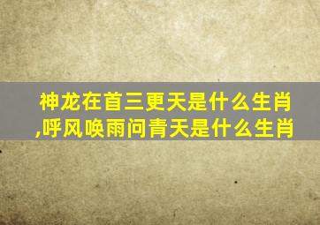 神龙在首三更天是什么生肖,呼风唤雨问青天是什么生肖