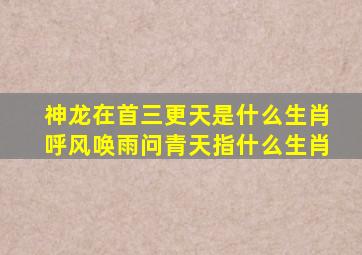 神龙在首三更天是什么生肖呼风唤雨问青天指什么生肖