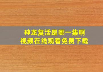 神龙复活是哪一集啊视频在线观看免费下载