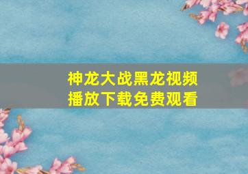 神龙大战黑龙视频播放下载免费观看