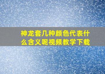 神龙套几种颜色代表什么含义呢视频教学下载