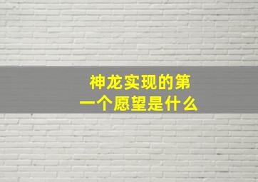 神龙实现的第一个愿望是什么