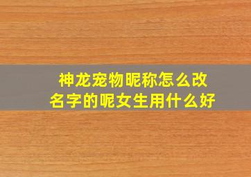 神龙宠物昵称怎么改名字的呢女生用什么好