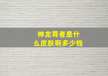 神龙尊者是什么皮肤啊多少钱