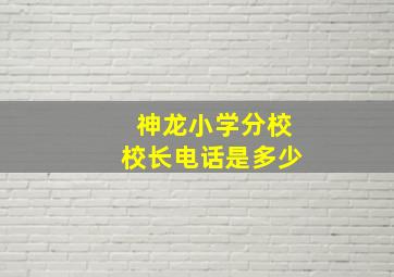 神龙小学分校校长电话是多少