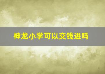 神龙小学可以交钱进吗