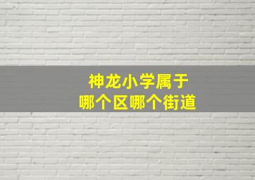 神龙小学属于哪个区哪个街道