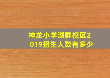 神龙小学湖畔校区2019招生人数有多少