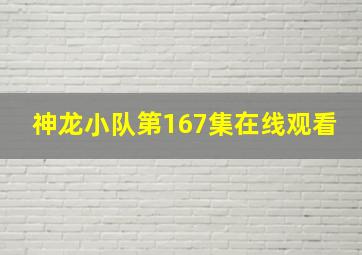 神龙小队第167集在线观看