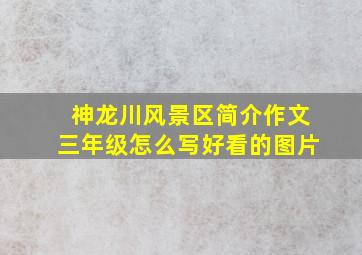 神龙川风景区简介作文三年级怎么写好看的图片