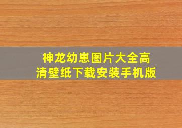 神龙幼崽图片大全高清壁纸下载安装手机版