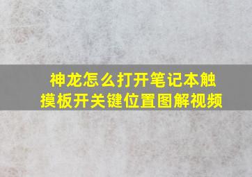 神龙怎么打开笔记本触摸板开关键位置图解视频