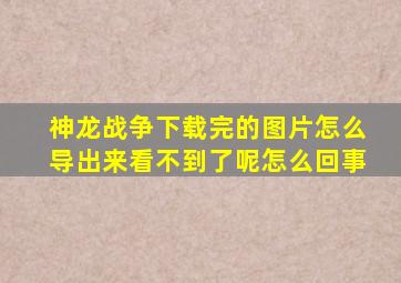 神龙战争下载完的图片怎么导出来看不到了呢怎么回事