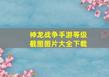 神龙战争手游等级截图图片大全下载