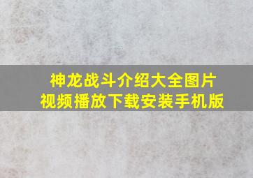 神龙战斗介绍大全图片视频播放下载安装手机版