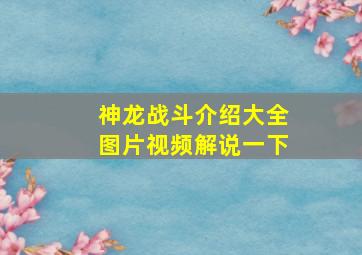 神龙战斗介绍大全图片视频解说一下