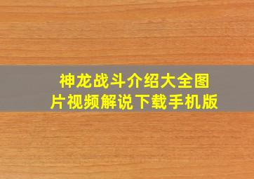 神龙战斗介绍大全图片视频解说下载手机版