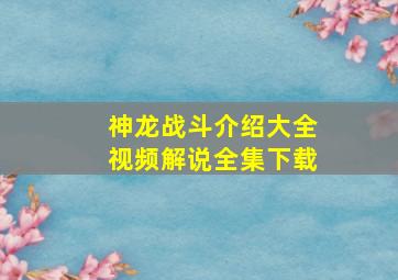 神龙战斗介绍大全视频解说全集下载