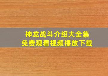 神龙战斗介绍大全集免费观看视频播放下载